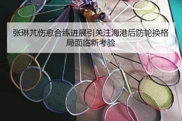 张琳芃伤愈合练进展引关注海港后防轮换格局面临新考验