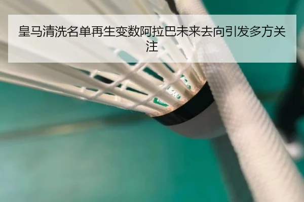皇马清洗名单再生变数阿拉巴未来去向引发多方关注